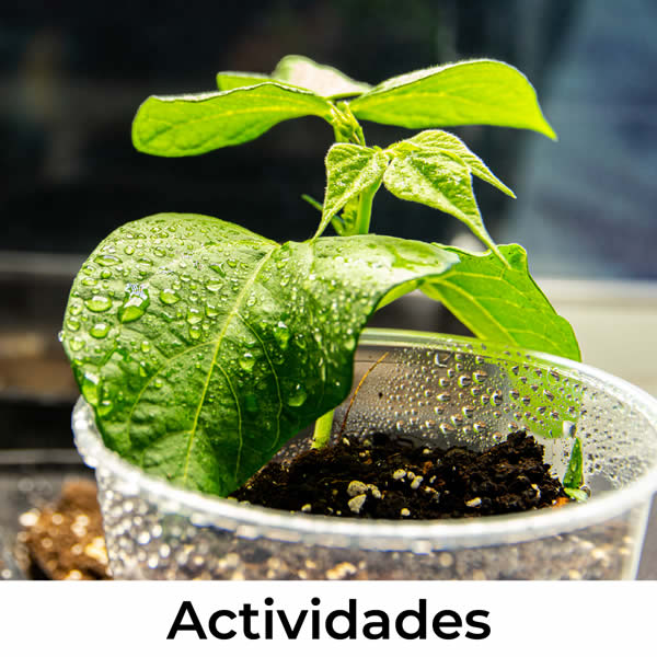 Actividades en La Estación