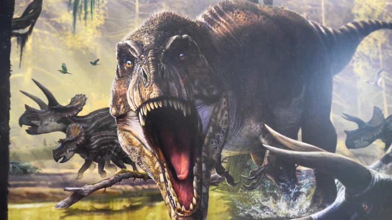 Dinosaurios ilustrados en La Estación